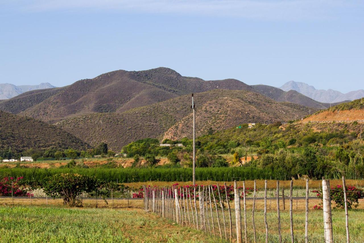 Schoemanshoek Glamping Oudtshoorn Kültér fotó